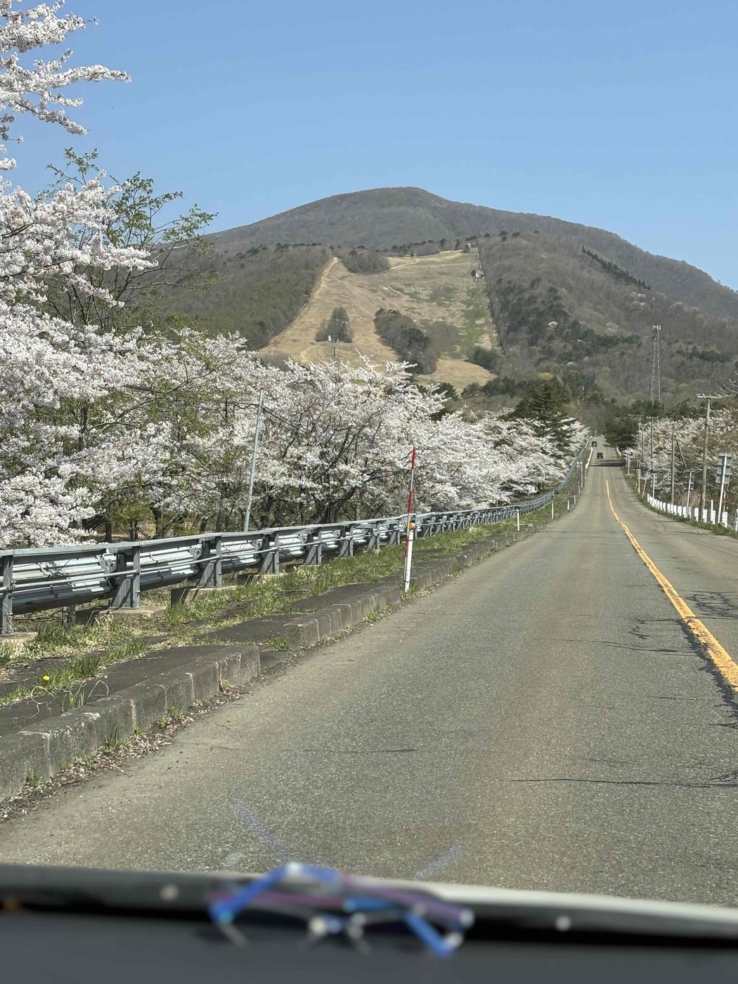 桜並木から泉ヶ岳へ続く道